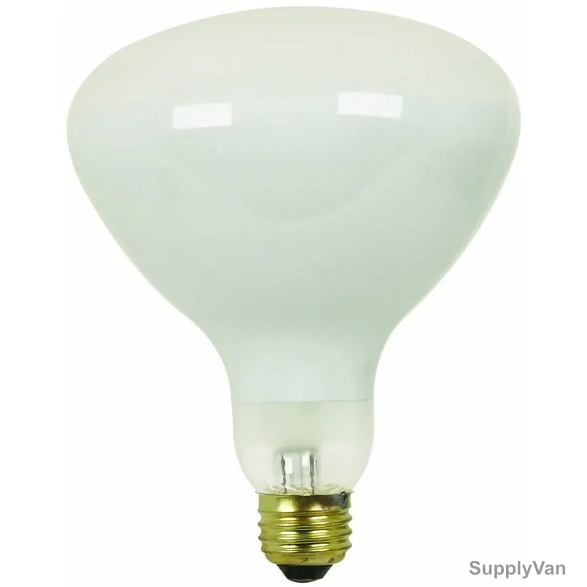 Ge Swimming Pool Light, E27, 300W, R40, 2800K, Warm White